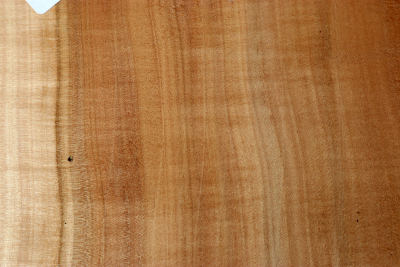 Block Apple Tree 150x150x53mm - Apfel0167