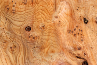 Klotz Eibe Maser 150x150x70mm - Eib1765