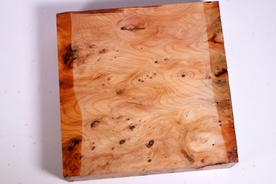 Block Yew Burl 200x200x50mm - Eib1003