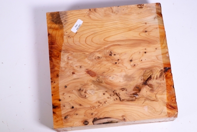 Block Yew Burl 200x200x50mm - Eib1003