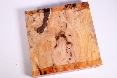 Block Yew Burl 200x200x50mm - Eib1007