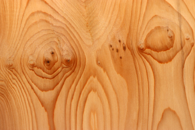 Block Yew 200x200x68mm - Eib1536