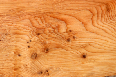 Block Yew Burl 255x105x70mm - Eib1474