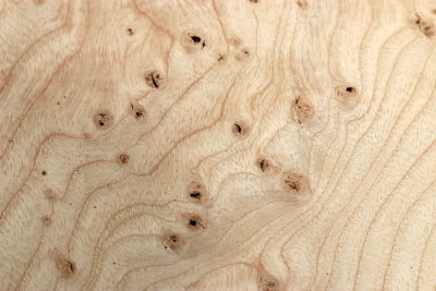 Block Ash Burl 200x200x65mm - Esch0307
