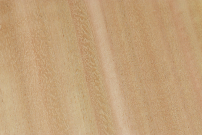 Klotz Eukalyptus 300x300x55mm - Euka0211