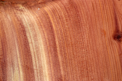 Klotz Florida-Zeder 170x170x50mm - Zed0324