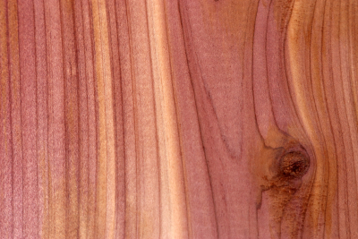 Klotz Florida-Zeder 220x220x50mm - Zed0384