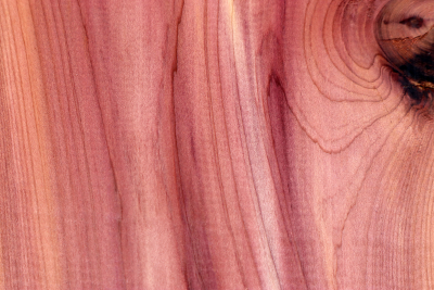 Klotz Florida-Zeder 220x220x50mm - Zed0385