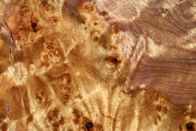 Klotz Golden Madrone 170x170x60mm - GMadr0463