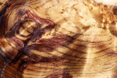 Klotz Golden Madrone 180x125x55mm - GMadr0511