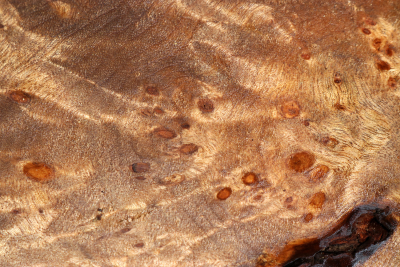 Klotz Golden Madrone 180x130x55mm - GMadr0512