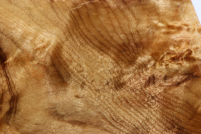 Klotz Golden Madrone 180x140x52mm - GMadr0464