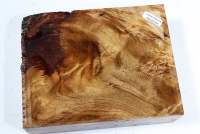 Klotz Golden Madrone 180x140x52mm - GMadr0464
