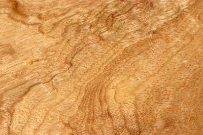 Block Golden Madrone Burl 185x1250x60mm - GMadr0561