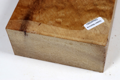 Block Golden Madrone Burl 185x1250x60mm - GMadr0561