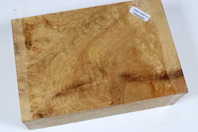 Block Golden Madrone Burl 185x1250x60mm - GMadr0561 Block Golden Madrone Burl 185x1250x60mm - GMadr0561