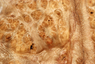 Klotz Golden Madrone 185x160x60mm - GMadr0547