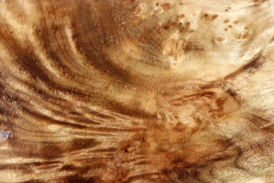 Block Golden Madrone Burl 195x100x58mm - GMadr0558