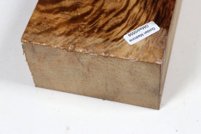 Block Golden Madrone Burl 195x100x58mm - GMadr0558