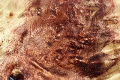 Klotz Golden Madrone 195x185x58mm - GMadr0465