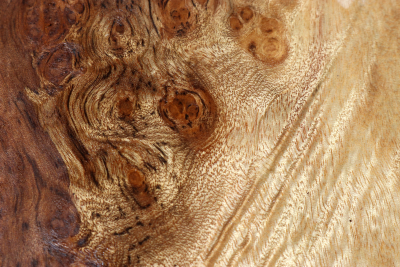 Block Golden Madrone Burl 190x150x60mm - GMadr0553