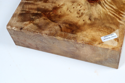 Block Golden Madrone Burl 205x195x60mm - GMadr0562