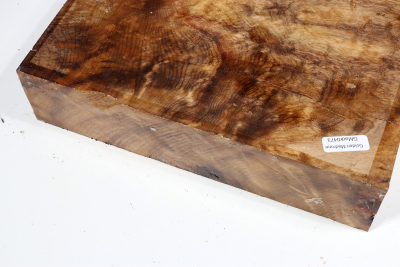 Block Golden Madrone Burl 225x170x53mm - GMadr0473