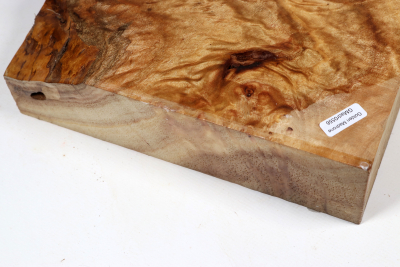 Block Golden Madrone Burl 225x225x60mm - GMadr0556