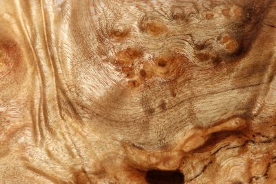 Block Golden Madrone Burl 235x140x60mm - GMadr0538
