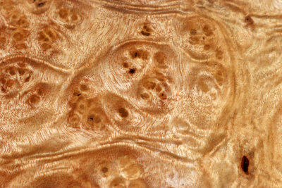 Klotz Golden Madrone 235x150x60mm - GMadr0570