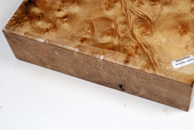 Block Golden Madrone Burl 235x200x60mm - GMadr0566