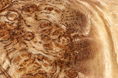 Klotz Golden Madrone 240x170x60mm - GMadr0539