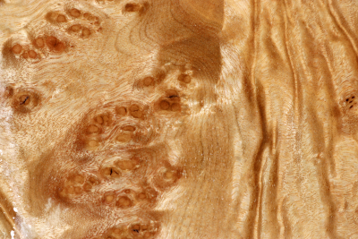 Klotz Golden Madrone 245x145x58mm - GMadr0557