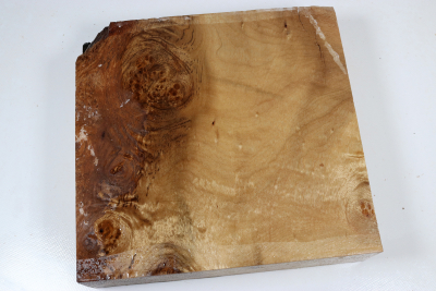 Klotz Golden Madrone 250x240x60mm - GMadr0537