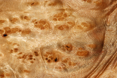 Klotz Golden Madrone 255x185x60mm - GMadr0564