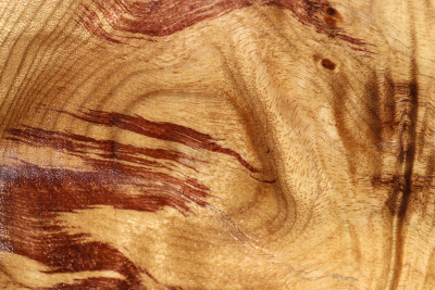 Klotz Golden Madrone 255x235x55mm - GMadr0506
