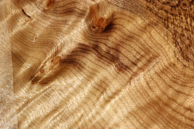 Block Golden Madrone Burl 275x230x55mm - GMadr0508
