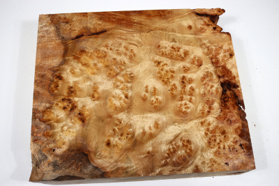 Block Golden Madrone Burl 275x235x60mm - GMadr0398