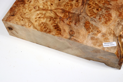 Block Golden Madrone Burl 275x235x60mm - GMadr0398