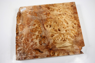 Block Golden Madrone Burl 275x235x60mm - GMadr0398