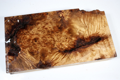 Block Golden Madrone Burl 340x180x53mm - GMadr0507