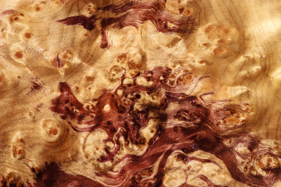 Block Golden Madrone Burl 340x180x53mm - GMadr0507