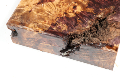 Block Golden Madrone Burl 340x180x53mm - GMadr0507