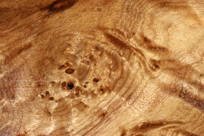 Block Golden Madrone Burl 350x230x60mm - GMadr0505