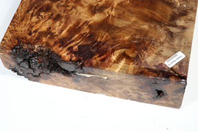 Block Golden Madrone Burl 350x230x60mm - GMadr0505