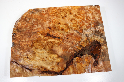 Block Golden Madrone Burl 355x265x60mm - GMadr0404