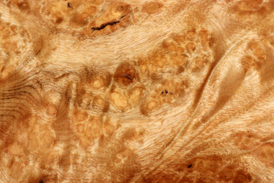 Block Golden Madrone Burl 355x265x60mm - GMadr0404