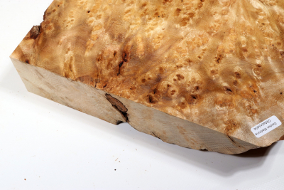 Block Golden Madrone Burl 355x265x60mm - GMadr0404