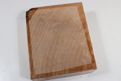 Klotz Hainbuche Maser 175x150x65mm - HainB0183