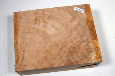 Klotz Hainbuche Maser 185x145x63mm - GestBu0618